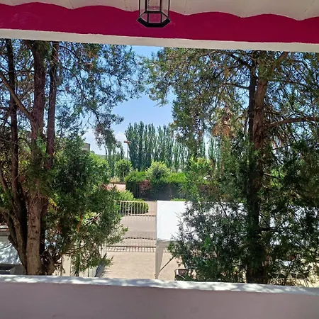 Pachita Alhama de Aragón