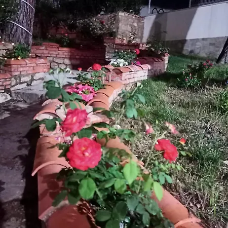 Pachita Hotel Alhama de Aragón