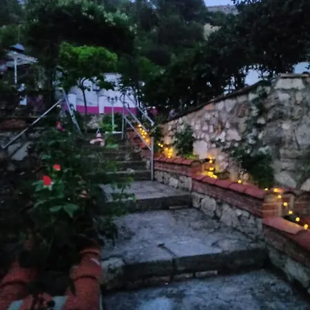 Pachita Alhama de Aragón