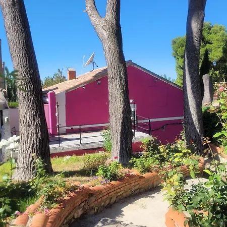 Pachita Hotel Alhama de Aragón