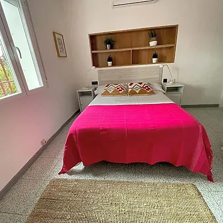 Pachita
