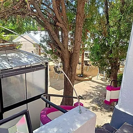 מלון Pachita