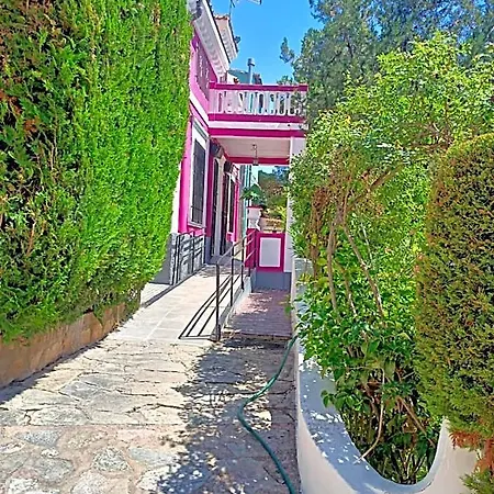 Pachita Alhama de Aragón
