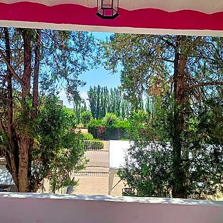 Pachita מלון 3*