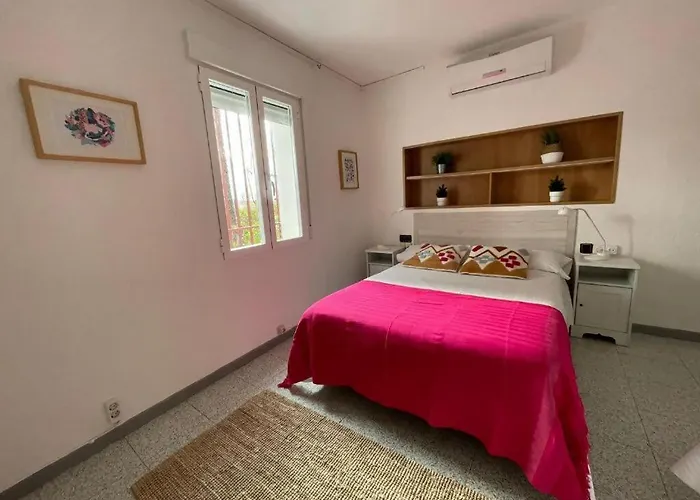 Pachita Alhama de Aragón